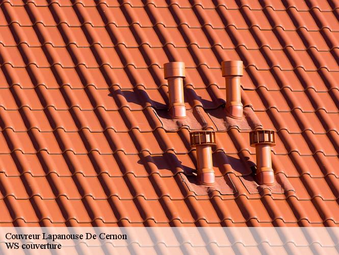 Couvreur  lapanouse-de-cernon-12230 WS couverture