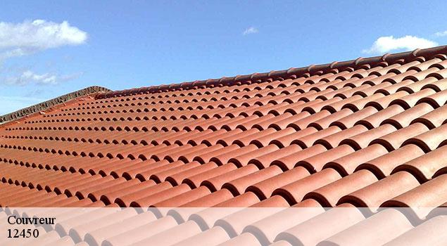 Couvreur  luc-12450 John Toiture Couvreur 12