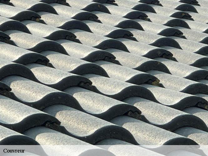 Couvreur  fondamente-12540 WS couverture
