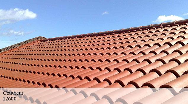 Couvreur  mur-de-barrez-12600 John Toiture Couvreur 12