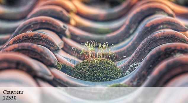 Couvreur  muret-le-chateau-12330 ACE Couverture 