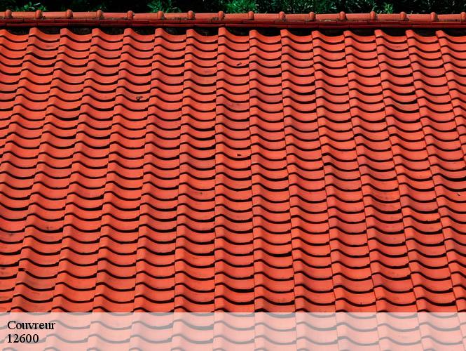 Couvreur  murols-12600 WS couverture