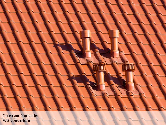 Couvreur  naucelle-12800 WS couverture