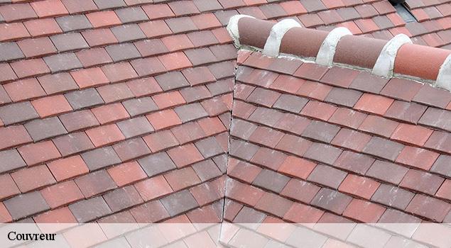 Couvreur  onet-le-chateau-12850 ACE Couverture 