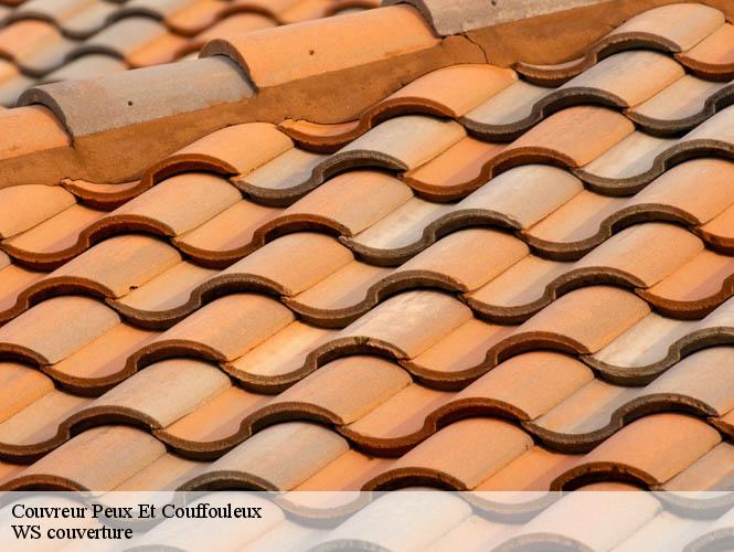 Couvreur  peux-et-couffouleux-12360 WS couverture