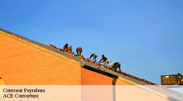 Couvreur  peyreleau-12720 ACE Couverture 