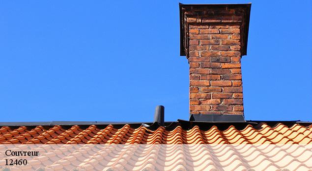 Couvreur  saint-amans-des-cots-12460 ACE Couverture 