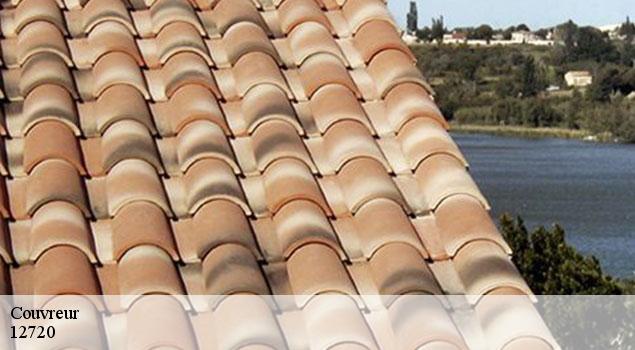 Couvreur  saint-andre-de-vezines-12720 John Toiture Couvreur 12