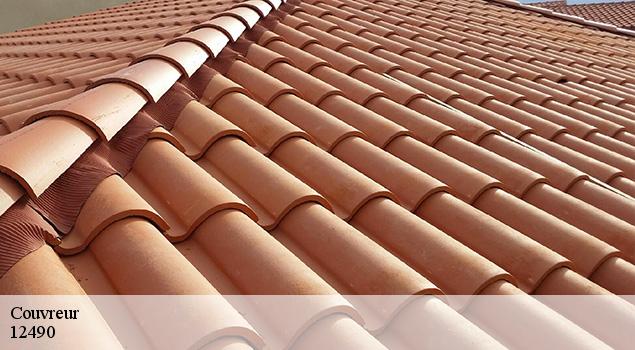 Couvreur  saint-rome-de-cernon-12490 ACE Couverture 