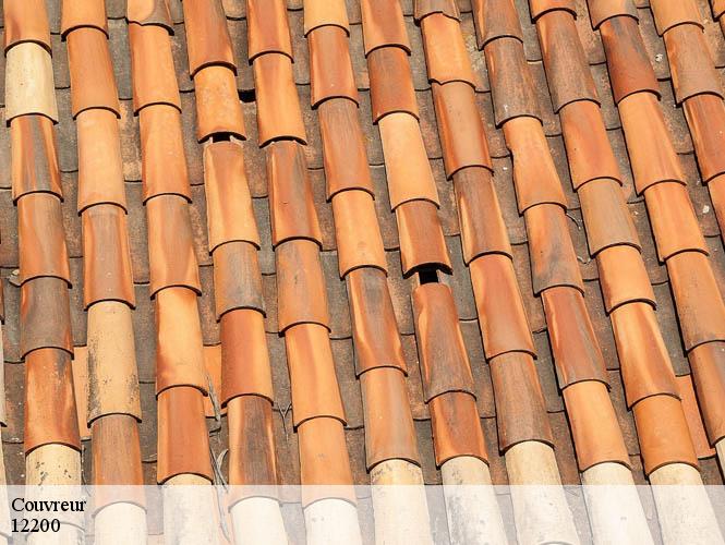 Couvreur  saint-salvadou-12200 WS couverture