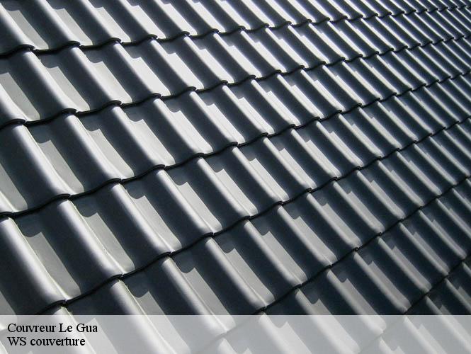 Couvreur  le-gua-12110 WS couverture