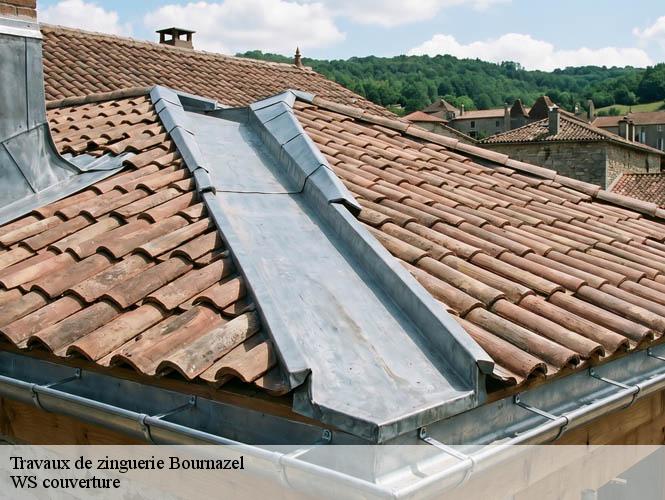 Travaux de zinguerie  bournazel-12390 WS couverture