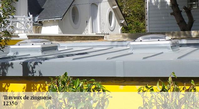 Travaux de zinguerie  maleville-12350 ACE Couverture 