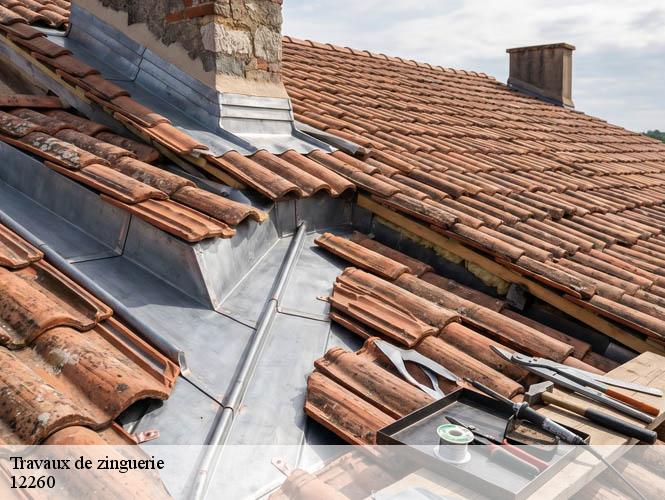 Travaux de zinguerie  ols-et-rinhodes-12260 WS couverture
