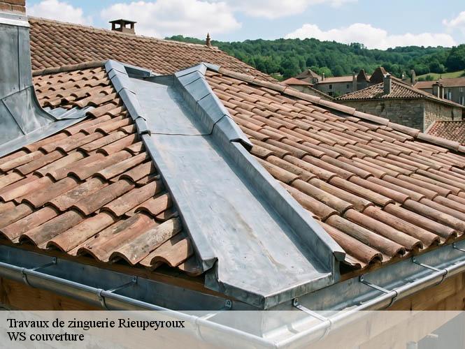 Travaux de zinguerie  rieupeyroux-12240 WS couverture