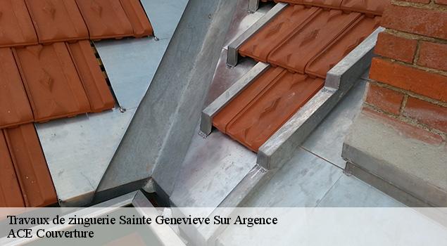 Travaux de zinguerie sainte-genevieve-sur-argence-12420 ACE Couverture