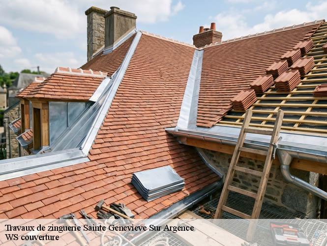 Travaux de zinguerie  sainte-genevieve-sur-argence-12420 WS couverture