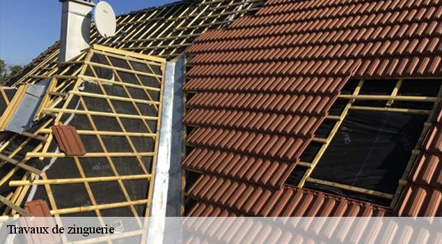 Travaux de zinguerie  pons-12140 ACE Couverture 