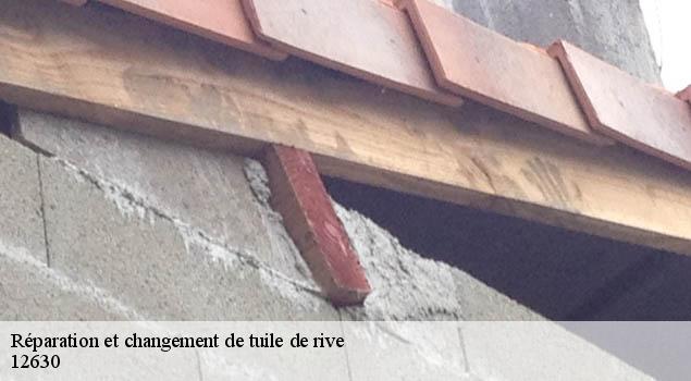 Réparation et changement de tuile de rive   agen-d-aveyron-12630 John Toiture Couvreur 12