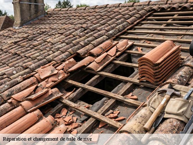 Réparation et changement de tuile de rive   ambeyrac-12260 WS couverture