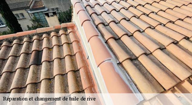 Réparation et changement de tuile de rive   la-bastide-l-eveque-12200 John Toiture Couvreur 12