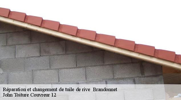 Réparation et changement de tuile de rive   brandonnet-12350 John Toiture Couvreur 12