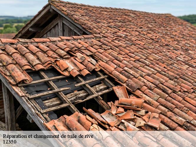 Réparation et changement de tuile de rive   compolibat-12350 WS couverture