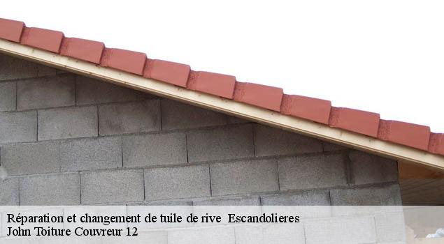 Réparation et changement de tuile de rive   escandolieres-12390 John Toiture Couvreur 12