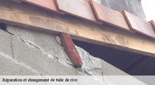 Réparation et changement de tuile de rive galgan-12220 ACE Couverture