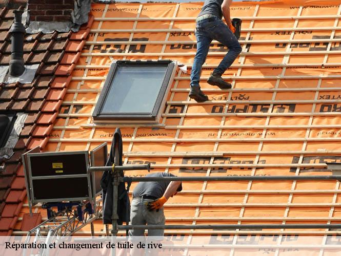 Réparation et changement de tuile de rive   monteils-12200 WS couverture