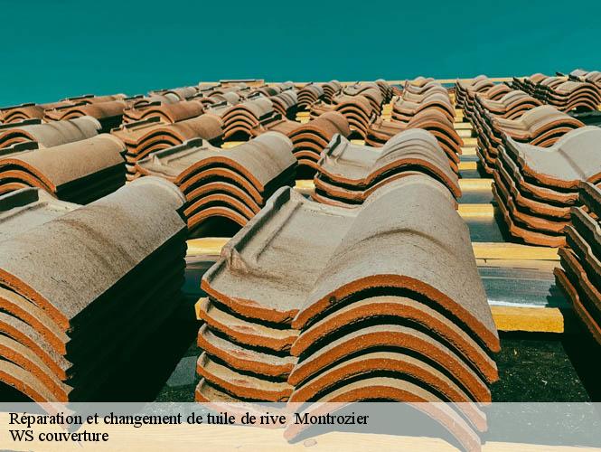 Réparation et changement de tuile de rive   montrozier-12630 WS couverture