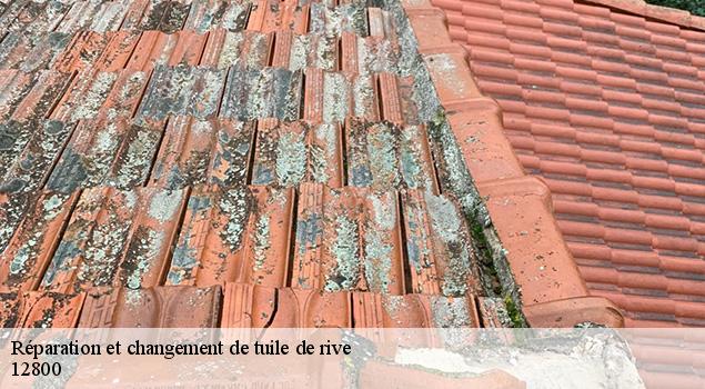 Réparation et changement de tuile de rive   naucelle-12800 ACE Couverture 