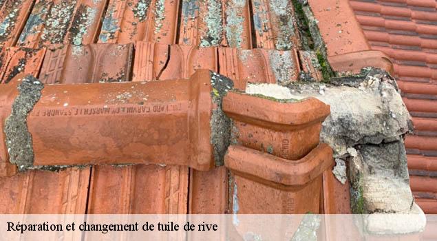 Réparation et changement de tuile de rive   plaisance-12550 John Toiture Couvreur 12