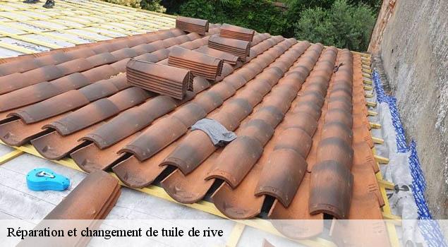 Réparation et changement de tuile de rive   saint-andre-de-najac-12270 John Toiture Couvreur 12