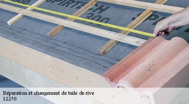 Réparation et changement de tuile de rive   saint-jean-d-alcapies-12250 ACE Couverture 