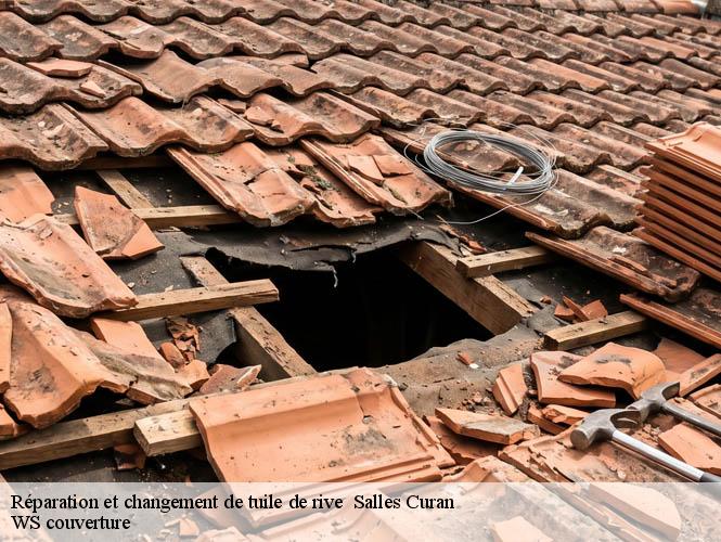 Réparation et changement de tuile de rive   salles-curan-12410 WS couverture
