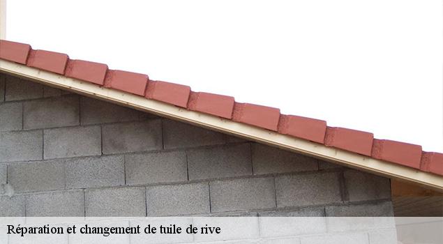 Réparation et changement de tuile de rive   segur-12290 ACE Couverture 