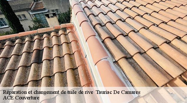 Réparation et changement de tuile de rive   tauriac-de-camares-12360 ACE Couverture 