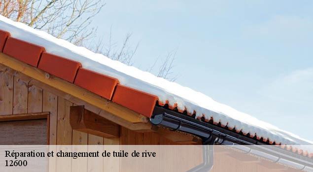 Réparation et changement de tuile de rive   therondels-12600 John Toiture Couvreur 12
