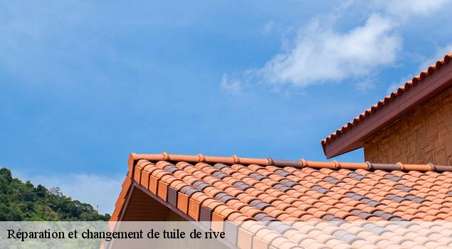 Réparation et changement de tuile de rive   vailhourles-12200 ACE Couverture 