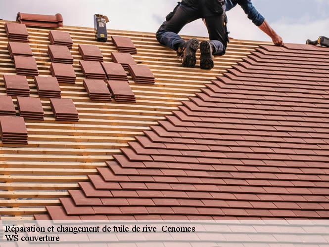 Réparation et changement de tuile de rive   cenomes-12360 WS couverture
