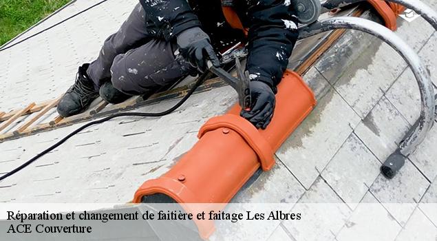 Réparation et changement de faitière et faitage les-albres-12220 ACE Couverture