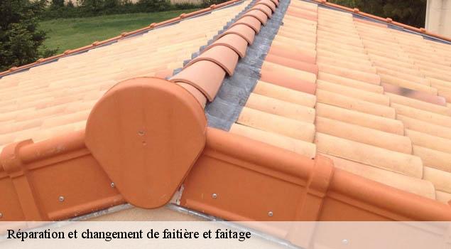 Réparation et changement de faitière et faitage  calmont-12450 John Toiture Couvreur 12
