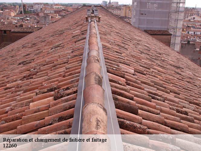 Réparation et changement de faitière et faitage  la-capelle-balaguier-12260 WS couverture