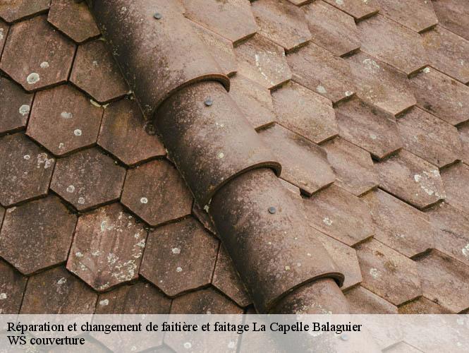 Réparation et changement de faitière et faitage  la-capelle-balaguier-12260 WS couverture