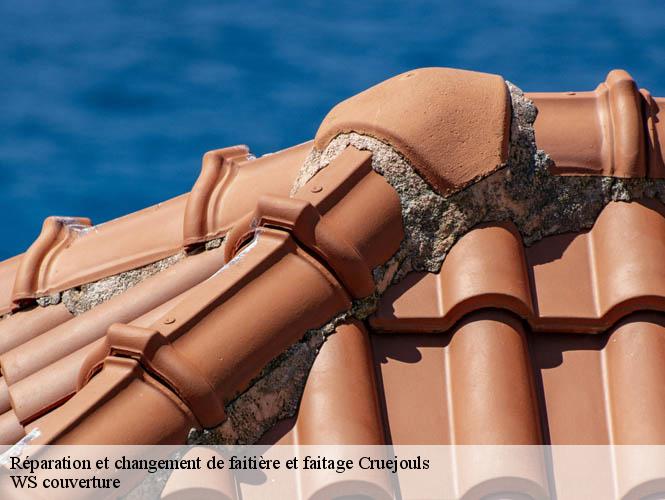 Réparation et changement de faitière et faitage  cruejouls-12340 WS couverture