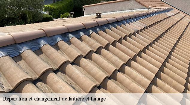 Réparation et changement de faitière et faitage  fayet-12360 ACE Couverture 