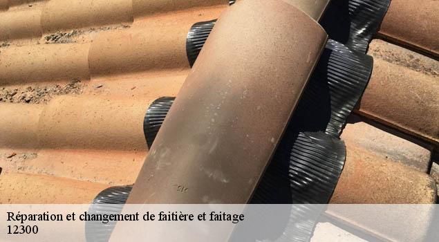 Réparation et changement de faitière et faitage  firmi-12300 John Toiture Couvreur 12