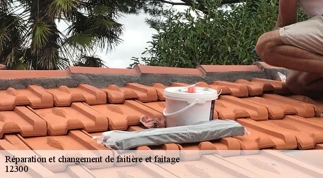 Réparation et changement de faitière et faitage  firmi-12300 John Toiture Couvreur 12