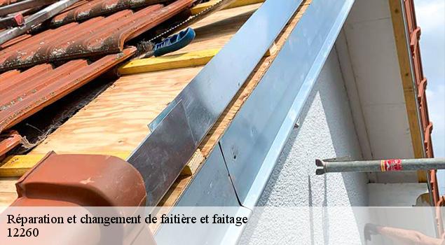 Réparation et changement de faitière et faitage  foissac-12260 ACE Couverture 